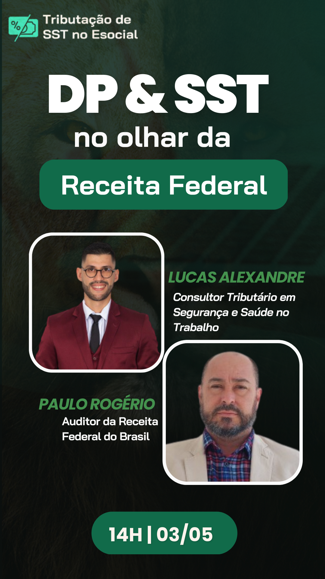 CURSO E LIVES (31)